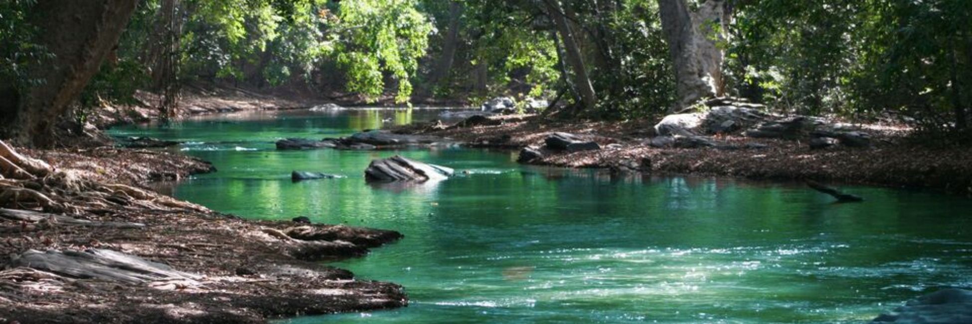 Black River Gorges